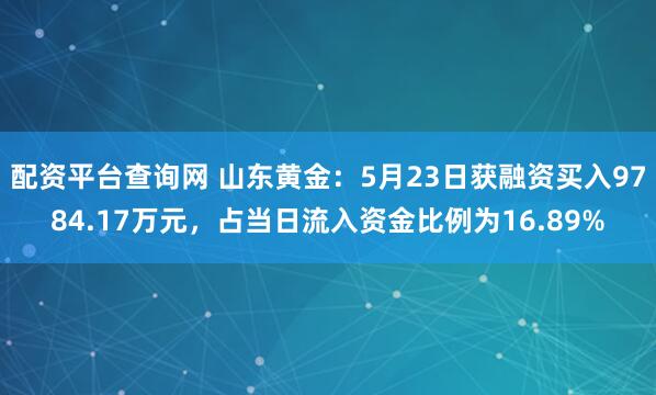 配资平台查询网 山东黄金：5月23日获融资买入9784.17万元，占当日流入资金比例为16.89%