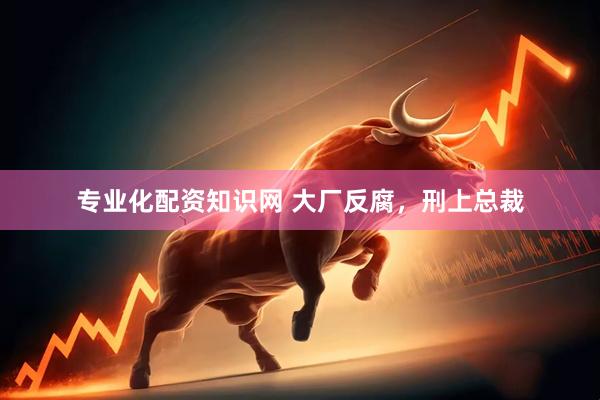 专业化配资知识网 大厂反腐，刑上总裁