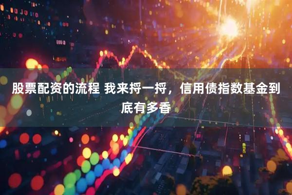 股票配资的流程 我来捋一捋，信用债指数基金到底有多香
